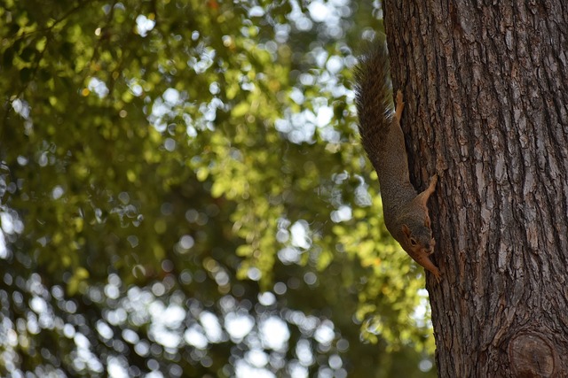 供了持续动 供了持续动