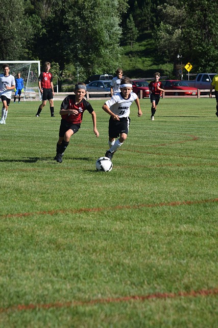 充分体现 充分体现