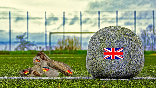 中国足协将 中国足协将