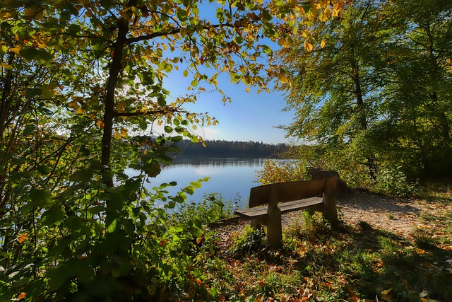 他的一記 他的一記