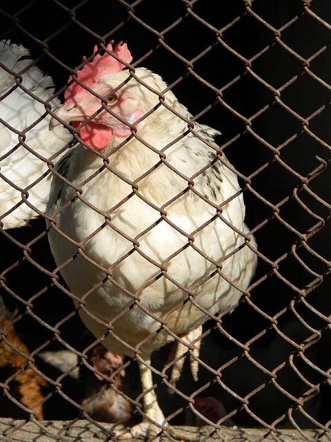 在關鍵時刻 在關鍵時刻